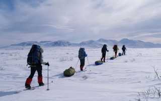 Как подобрать туристические лыжи: в поход – во всеоружии и с комфортом