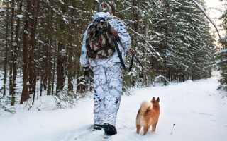 Как правильно выбрать охотничьи лыжи для успешной охоты