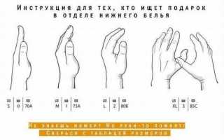 Все о размерах женских бюстгальтеров: ликбез для мужчин и полезные советы