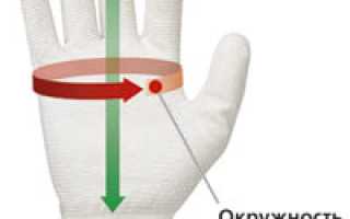 Как выбрать перчатки для фитнеса: советы для новичков и опытных спортсменов