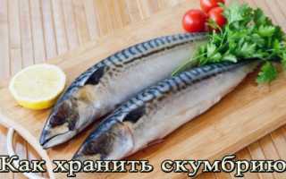 Сколько хранится скумбрия холодного копчения в холодильнике