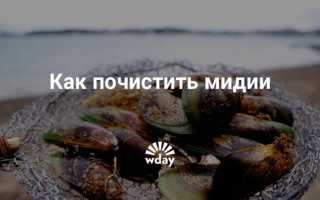 Как чистить и готовить замороженные мидии без панциря