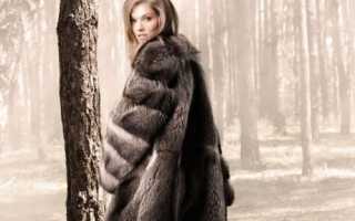 Как выбрать шубу из енота: красота, качество и доступность в одном флаконе для стильного образа