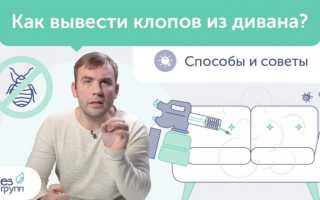 Особенности жизни клопов: могут ли они жить в подушках?