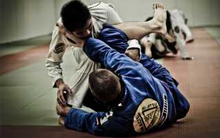 Как выбрать кимоно для джиу-джитсу: универсальный рецепт для начинающих