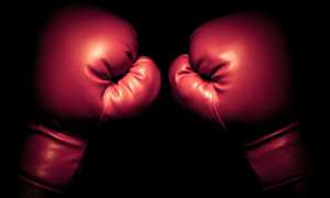 Как выбрать боксерские перчатки: универсальные советы для начинающих