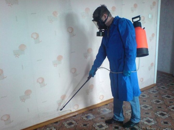 Дезинсекция