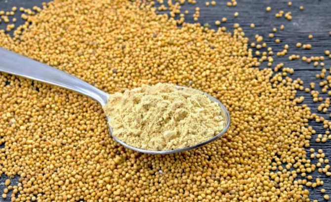 горчичный порошок для удаления запахов