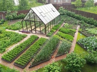 Грядки из пластиковых панелей: высокие ограждения из ПВХ-доски на даче