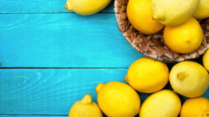 Лучшие способы, как хранить лимоны в домашних условиях