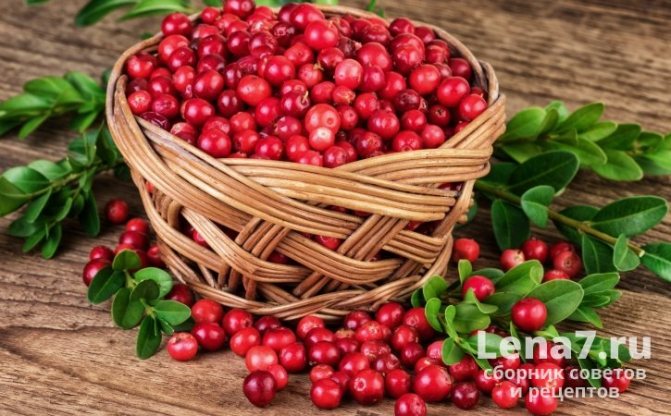 Правильное хранение клюквы: важные советы