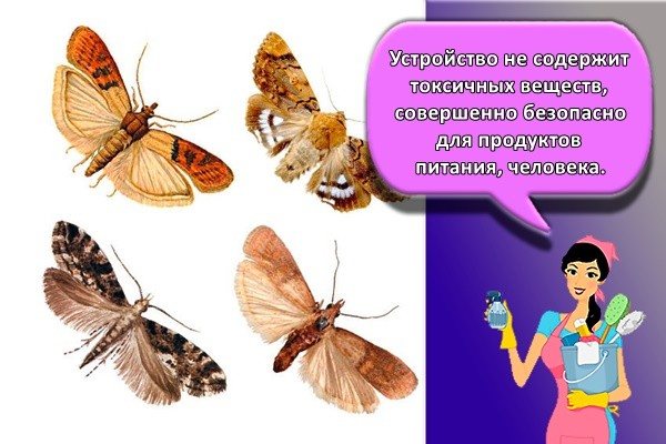 Устройство не содержит токсичных веществ, совершенно безопасно для продуктов питания, человека.