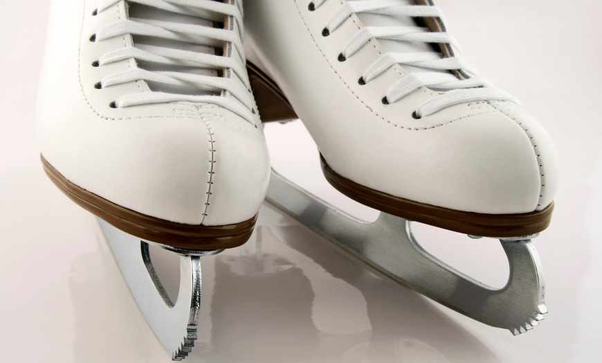 как ухаживать и чистить коньки