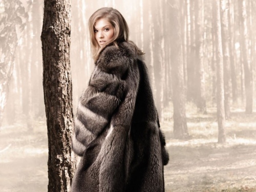 main-11266-6531f3a24a0a133983140edef6288b1c_0