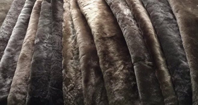 Что такое мутон и чей это мех, какого животного