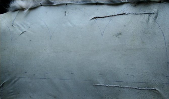 Контур на мезге можно наносить ручкой или фломастером