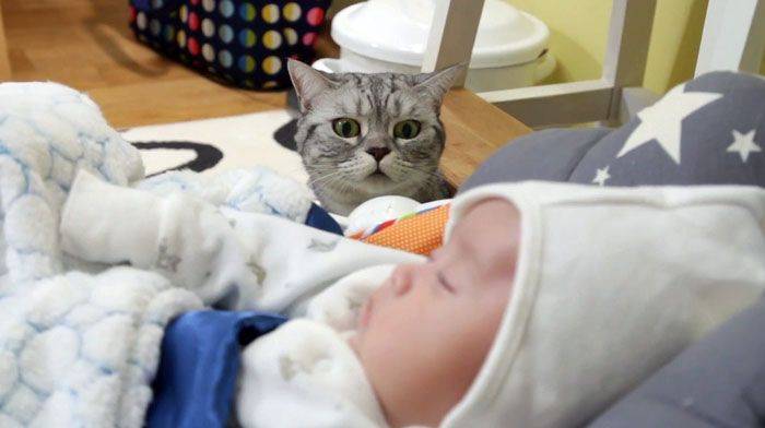 Нужен ли тканевый балдахин на детскую кроватку