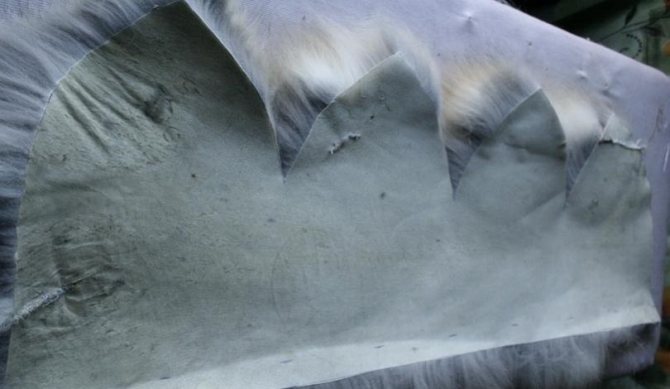 Вот так выглядит выкроенный мех. обратите внимание на кромку с пышным, неповрежденным ворсом